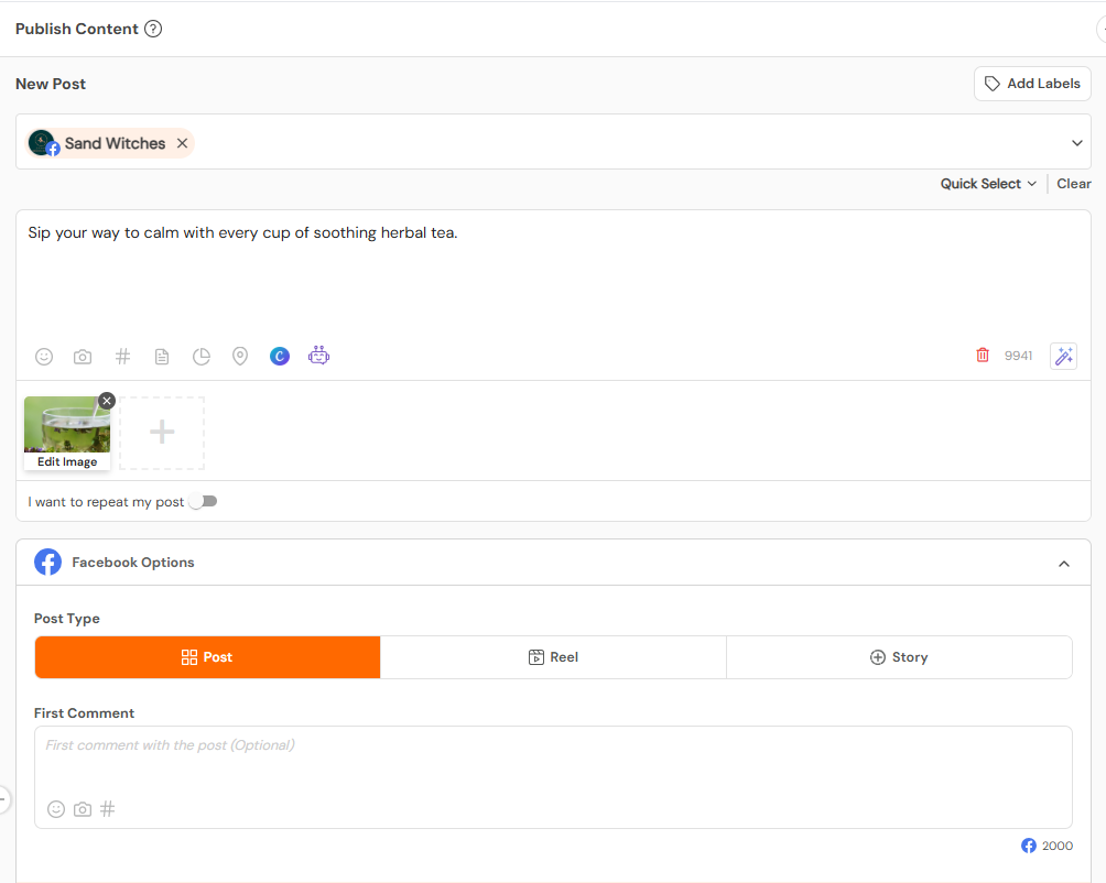 Social Champ’s Post Schedule Feature
