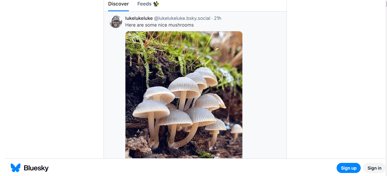 Bluesky vs Twitter X: A Complete Comparison for 2026 6 Bluesky’s Home Page