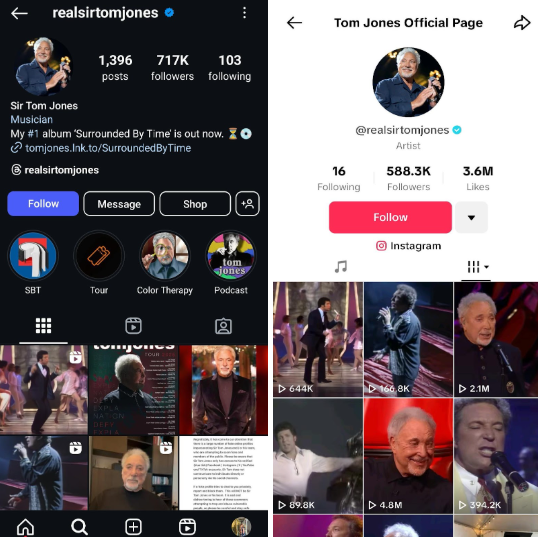 A Musician's Instagram & TikTok Account
