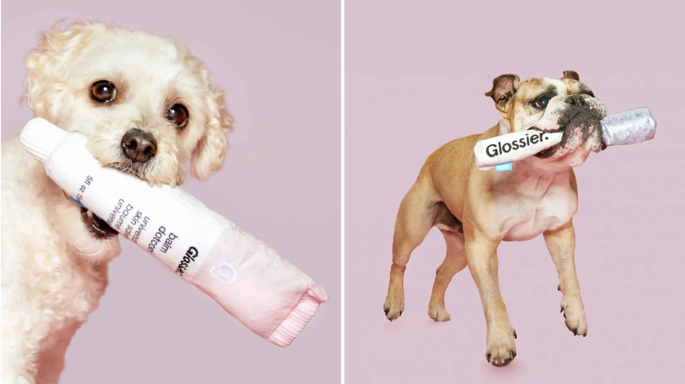Glossier’s Collaboration With BarkBox to Create Dog Toys