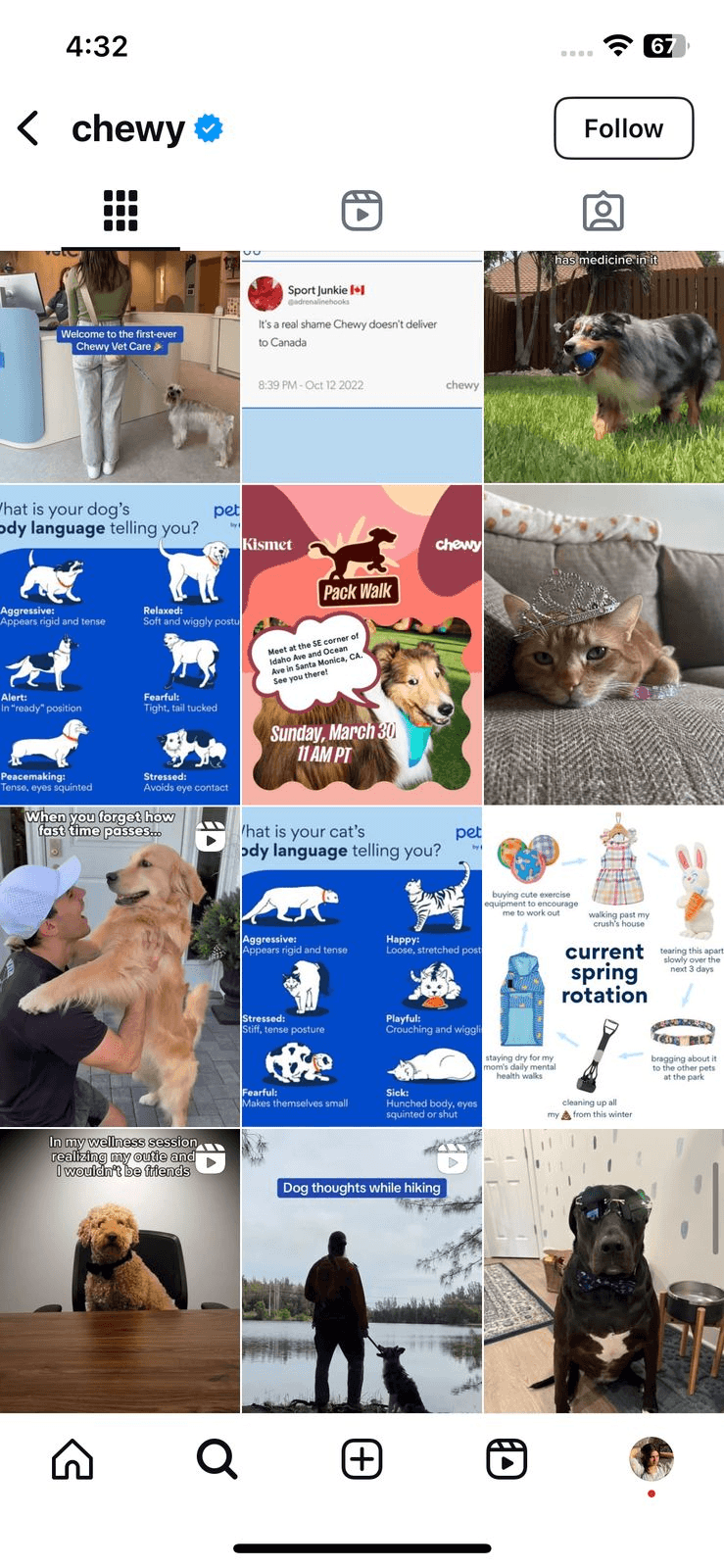 Example of Chewy’s Profile on Instagram