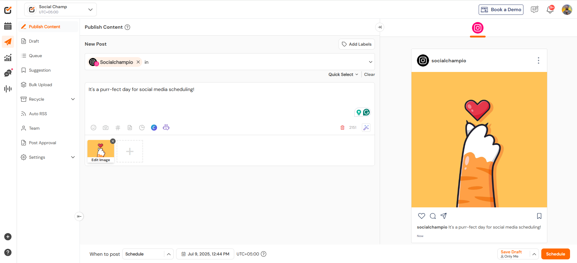 Social Champ's Dashboard