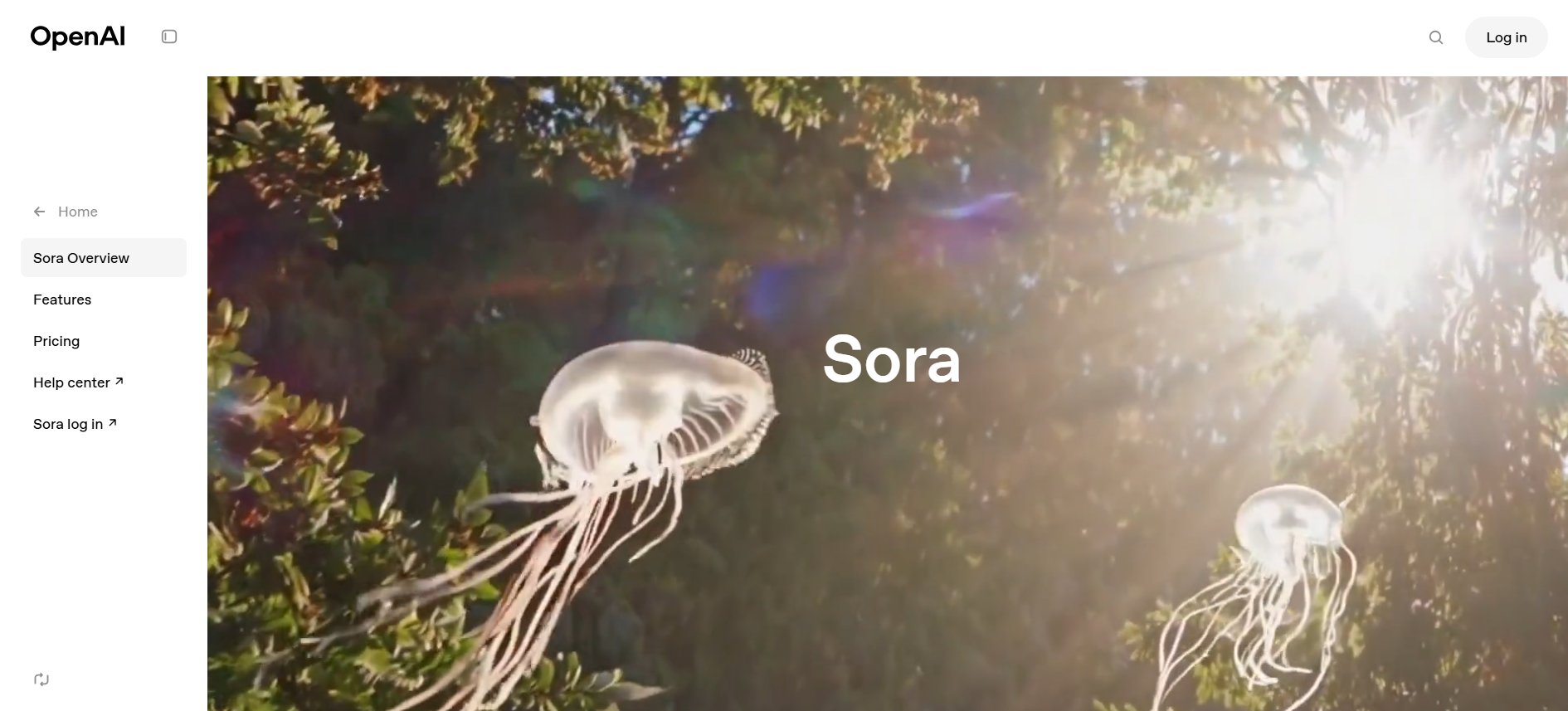 Sora’ Homepage