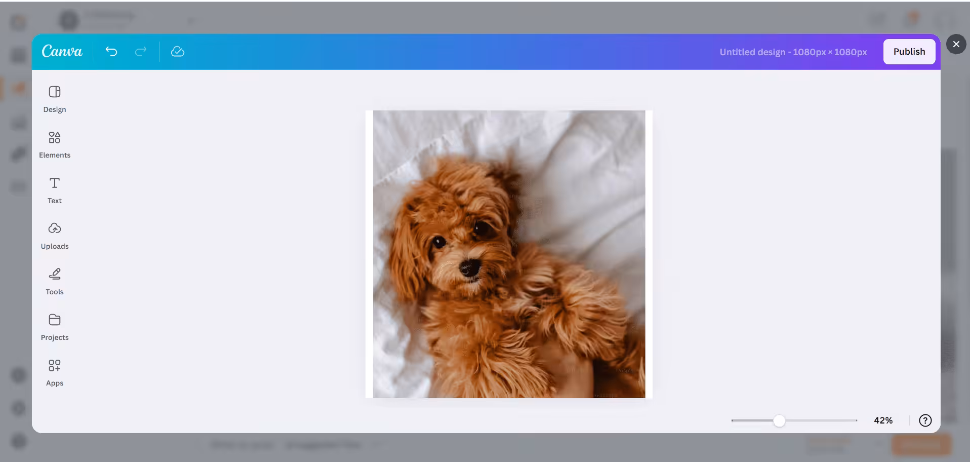 Canva Integration in Social Champ 