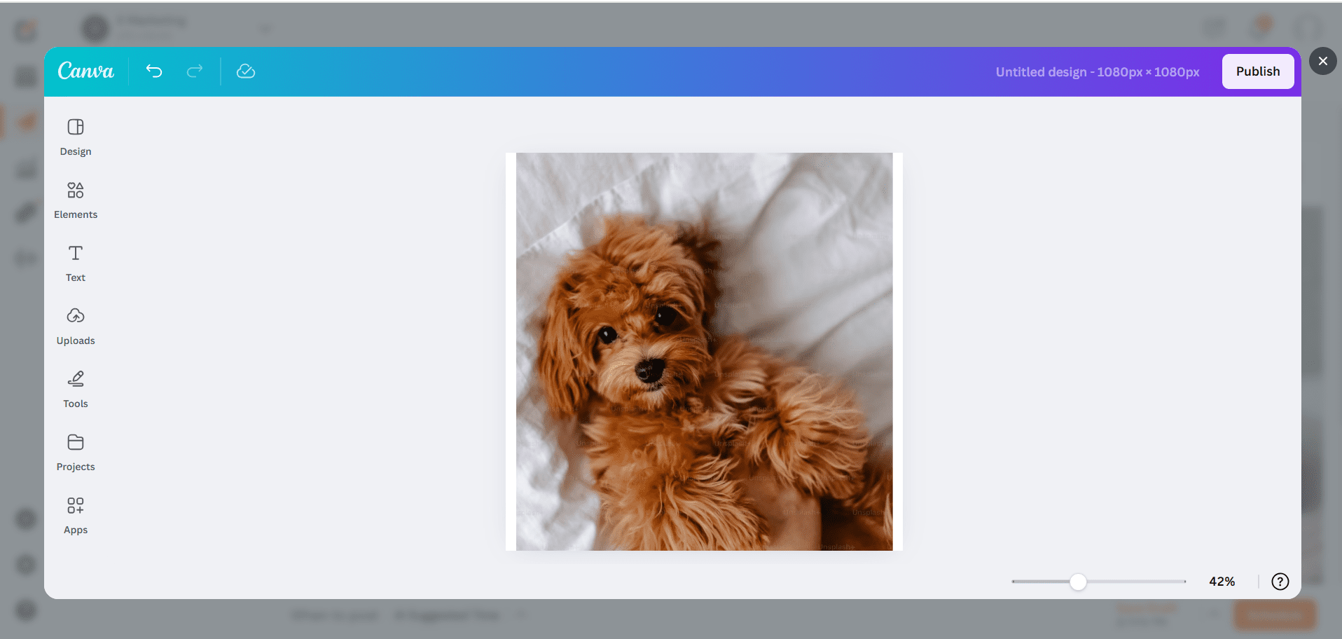 Canva Integration in Social Champ 