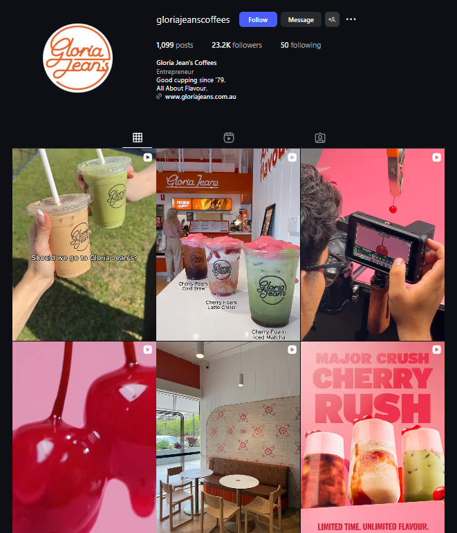 An Instagram Feed Showing Consistent Branding for Brand Recognition