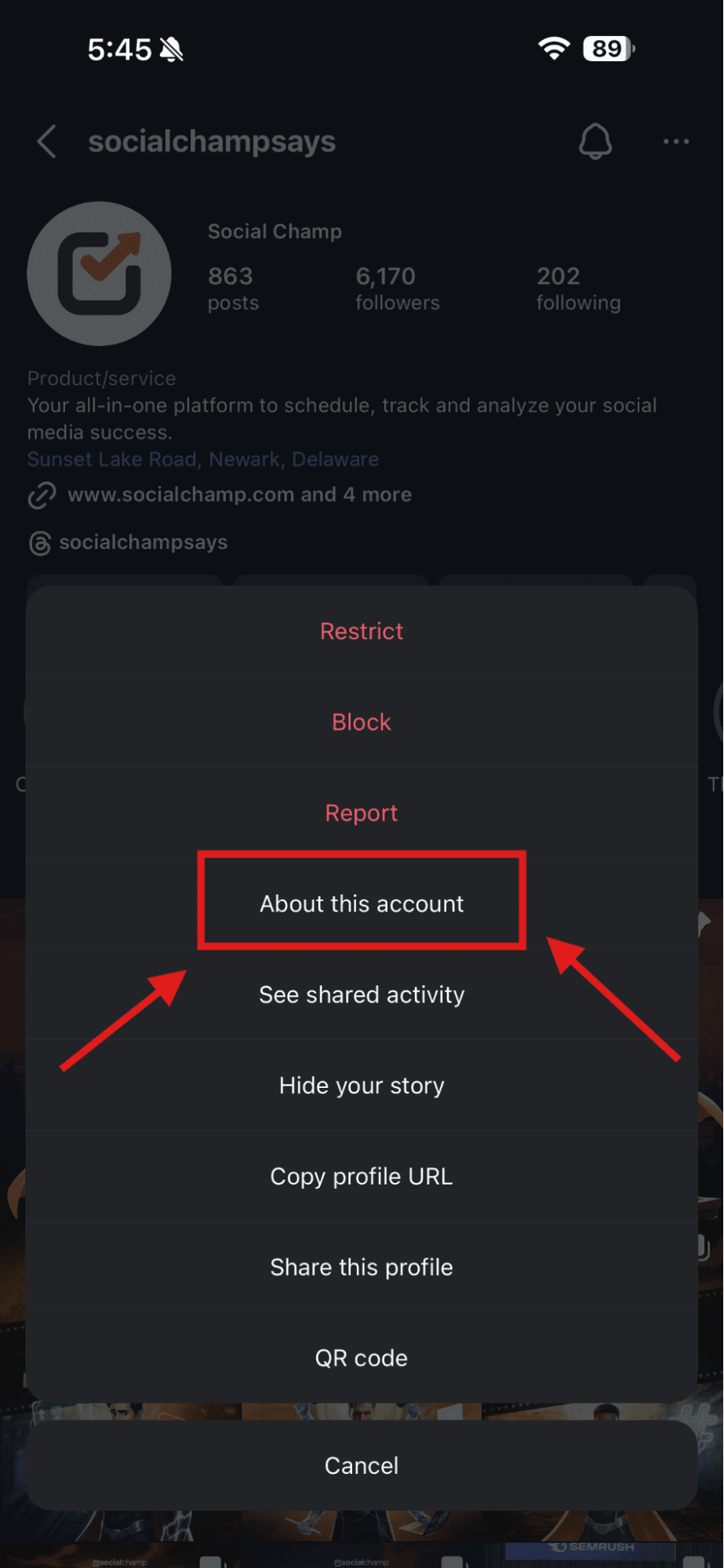 Tap “About This Account”