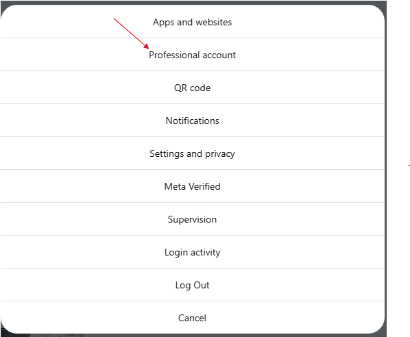 Switch To A Professional Account
