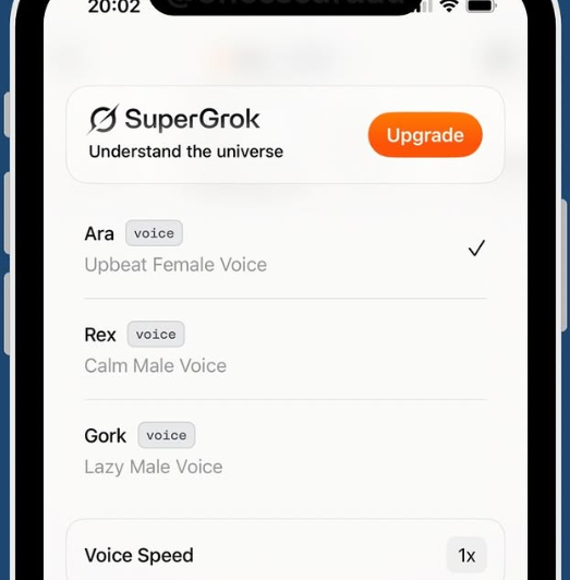 Grok's Voice Options