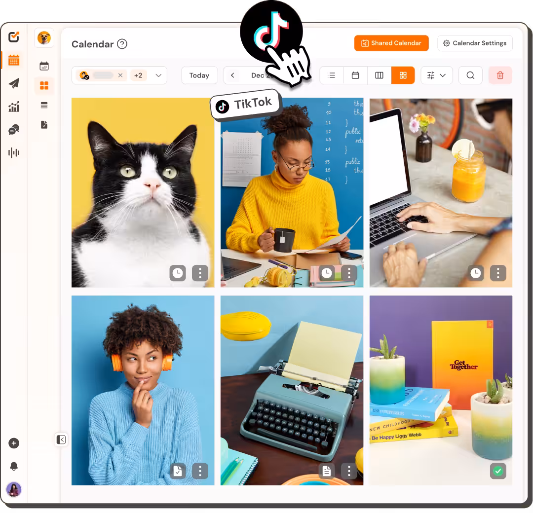 TikTok grid rolling out