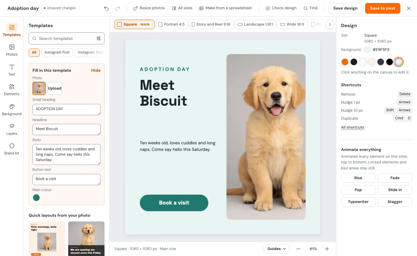The editor with a puppy adoption template open and the Fill in this template form on the left, with fields for the photo, small heading, headline, body and button text